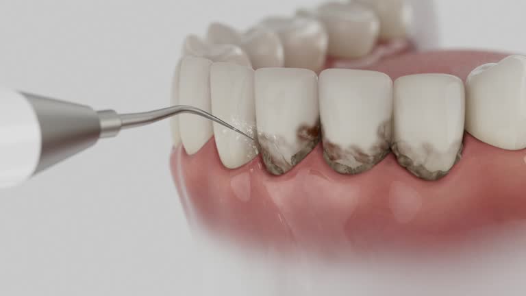 Reliable Dental contractor in Ashville, OH by Dentist Open Now